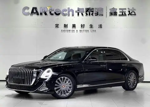 Hongqi 金葵花国雅 2024