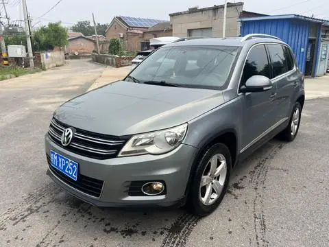 Volkswagen Tiguan 2010