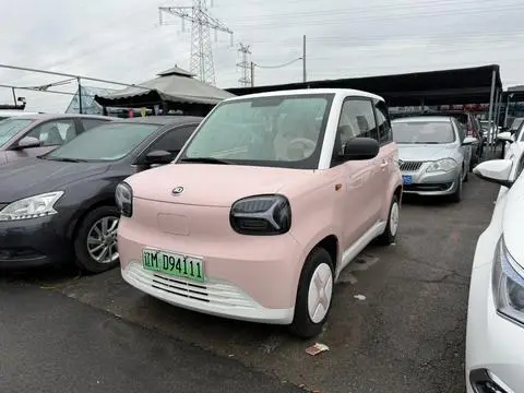 Zhidou 彩虹 2024