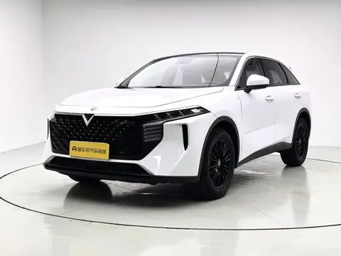 Venucia 大V 2022