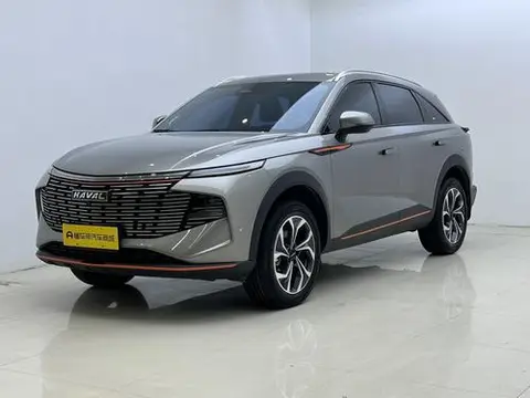 Haval 神兽 2021