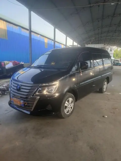 Forthing Lingzhi 2023