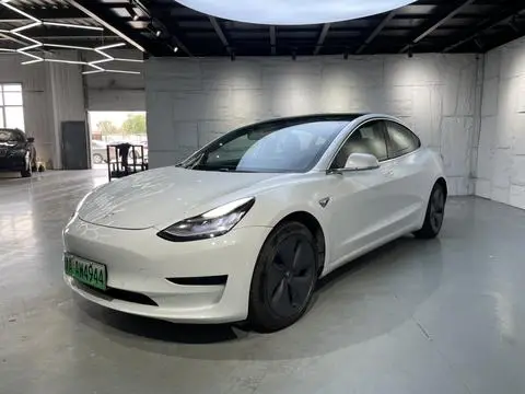 Tesla Model 3 2019