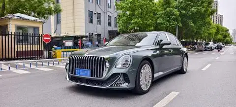 Hongqi 金葵花国雅 2024