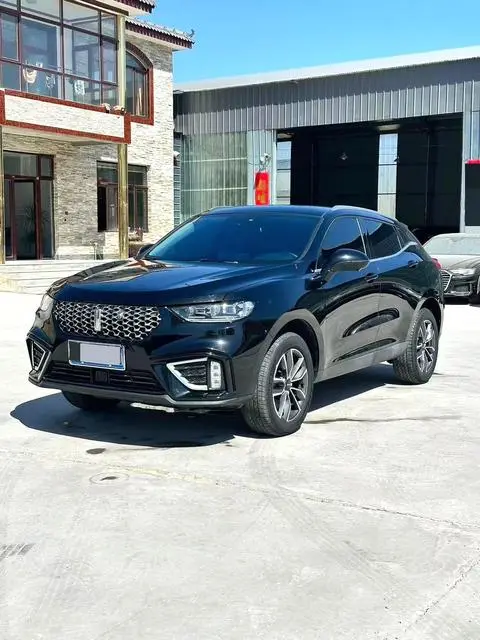 Wey VV5 2020