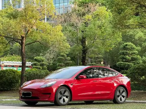 Tesla Model 3 2021