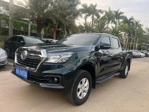 Dongfeng 锐骐6 2020