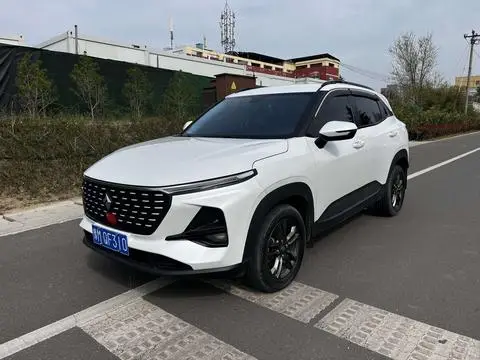Baojun RS-3 2019