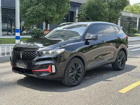Wey VV6 2020