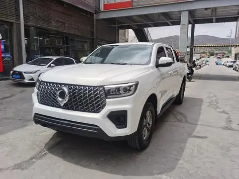 Great Wall 炮 2023