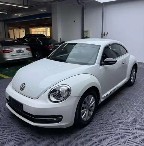 Volkswagen 甲壳虫 2014