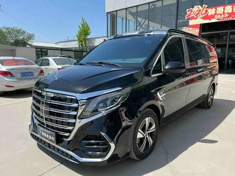 Mercedes-Benz 威霆 2023