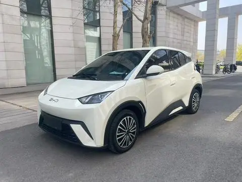 BYD Seagull 2024