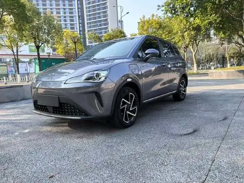 NETA V 2022