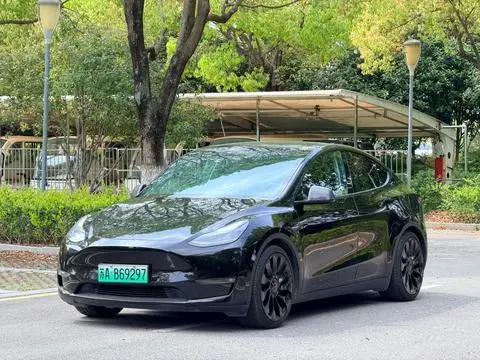 Tesla Model Y 2021