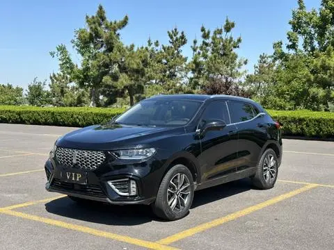 Wey VV5 2021
