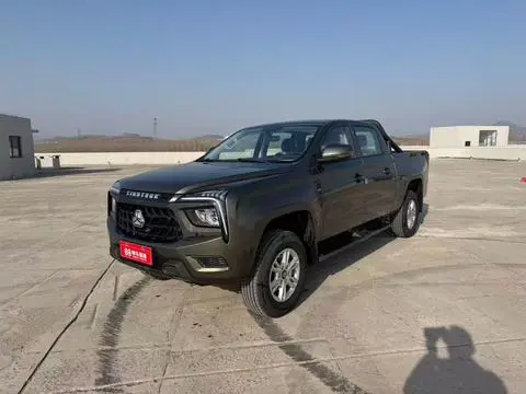 SINOTRUK 搏胜 2024