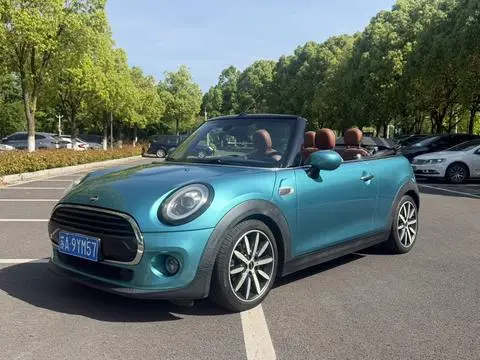 MINI MINI 2020