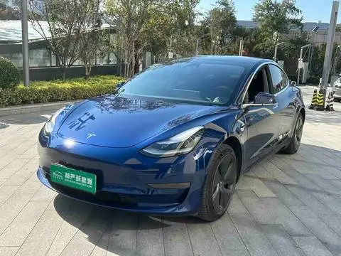 Tesla Model 3 2020