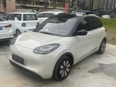 Wuling Bingo 2024