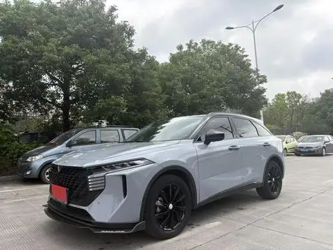 Venucia 大V 2021