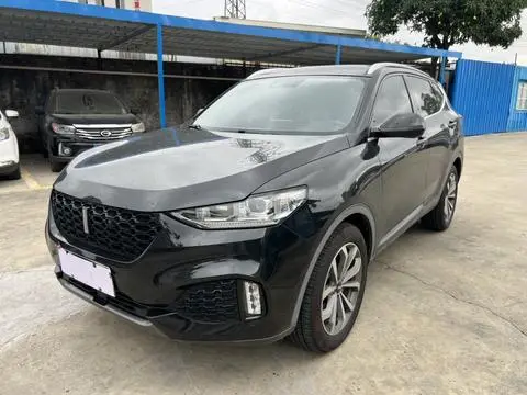 Wey VV6 2018