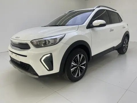 Kia 奕跑 2021