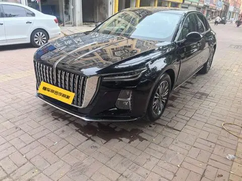 Hongqi H5 2024