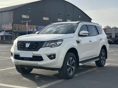 Dongfeng 帕拉丁 2024