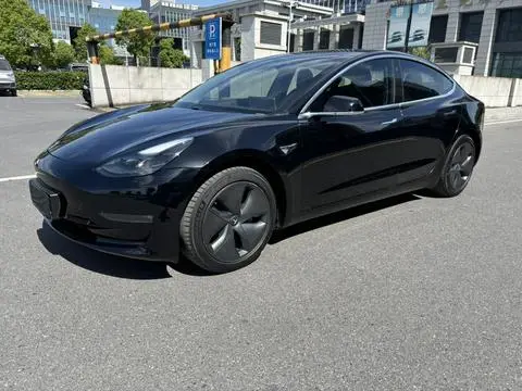 Tesla Model 3 2020
