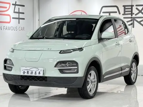 Dayun 悦虎 2022