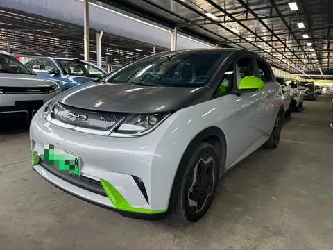 BYD Dolphin 2021