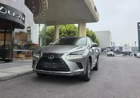 Lexus NX 2020 — фото 1