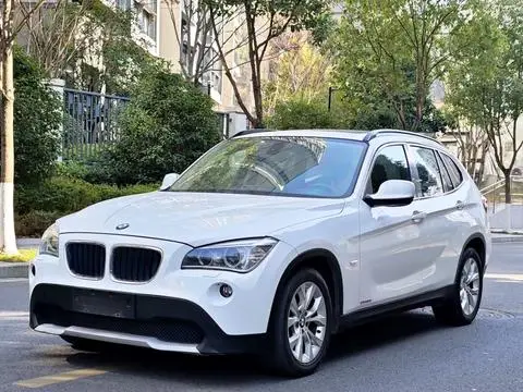 BMW X1 2010