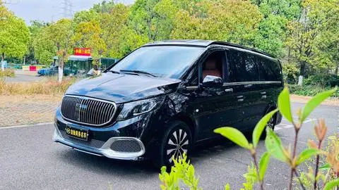 Mercedes-Benz 威霆 2023