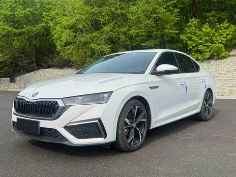 Skoda 明锐 2023