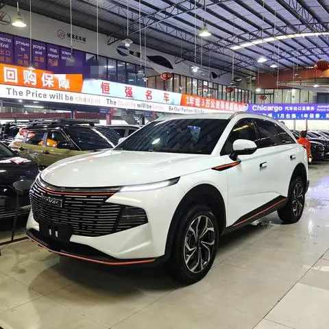 Haval 神兽 2021