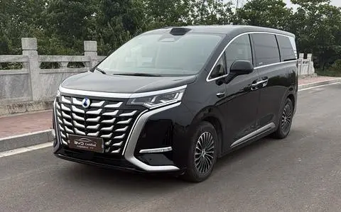 Denza D9 DM 2025