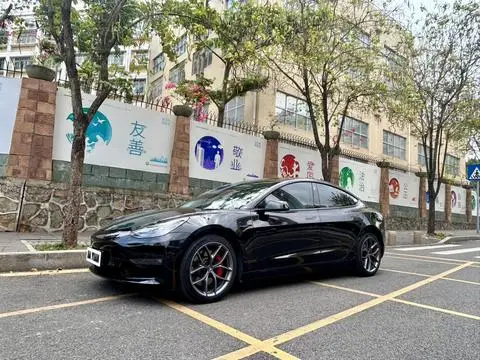 Tesla Model 3 2022