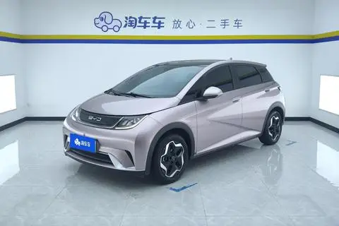 BYD Dolphin 2021