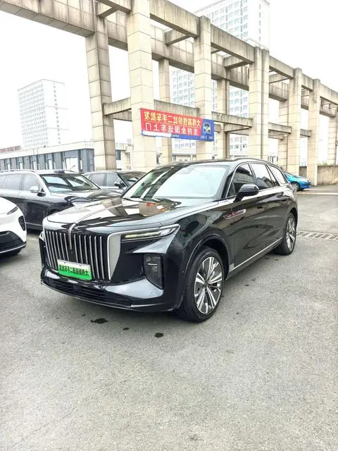 Hongqi E-HS9 2020