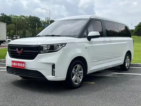 Wuling 征程 2021