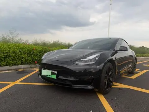 Tesla Model 3 2019
