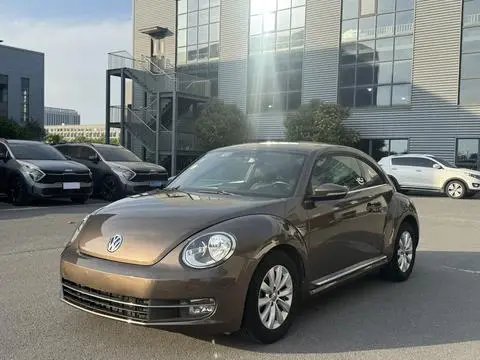 Volkswagen 甲壳虫 2014