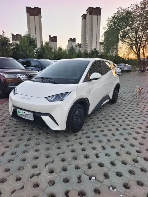 BYD Seagull 2024