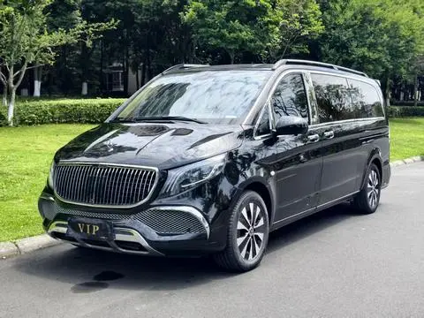 Mercedes-Benz 威霆 2021