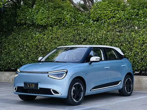 Dongfeng 纳米01 2024