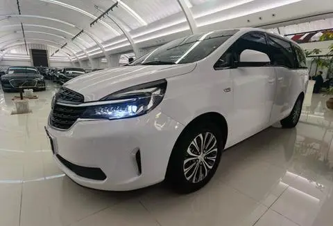 Buick GL8 2021