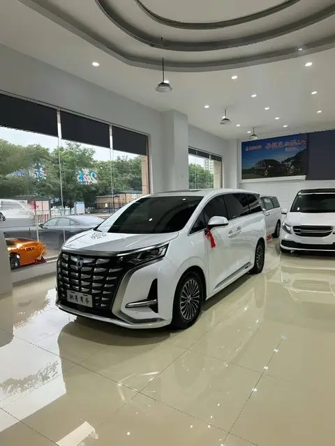 Denza D9 DM 2024