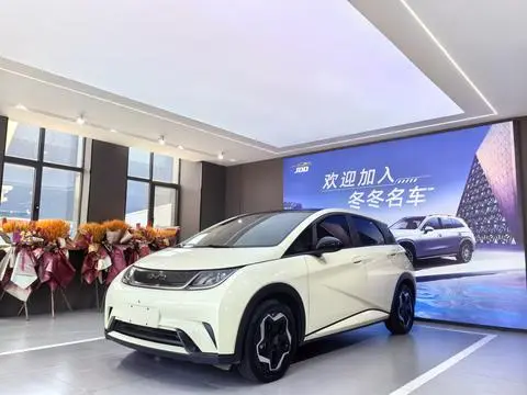 BYD Dolphin 2021